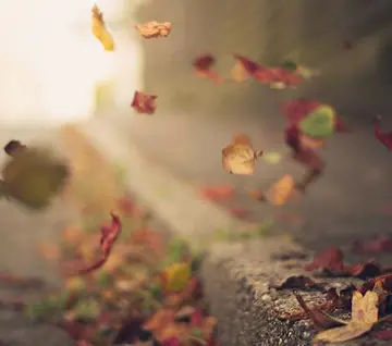 都各自安好的说说文案