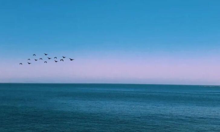 值得人摘抄的句子文案