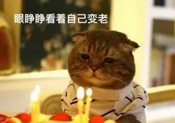 本人出售幽默的说说文案