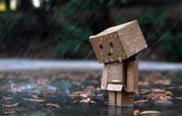 亲姐妹失望的说说文案