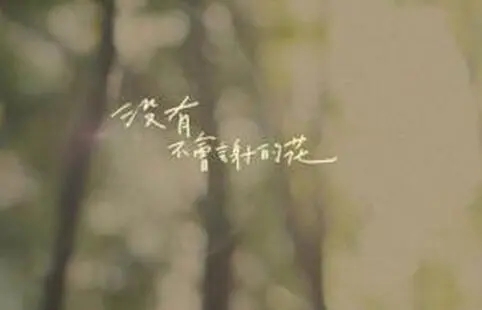 爱情里伤心失望的句子文案