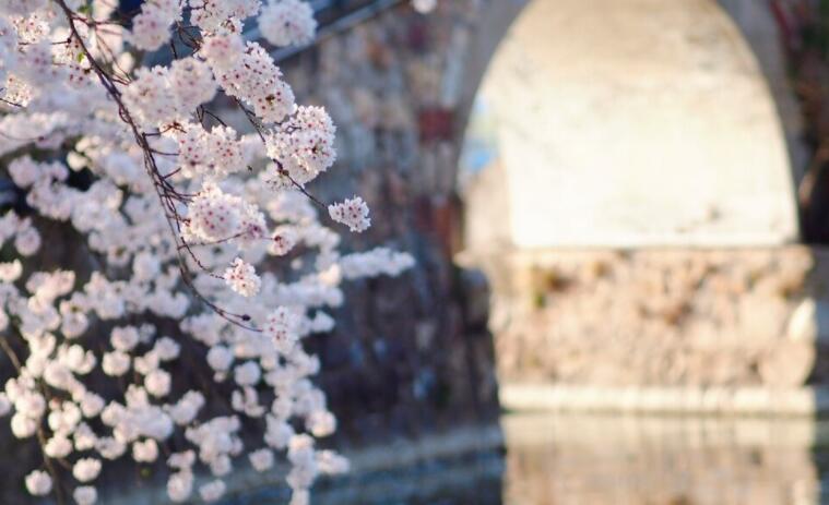 关于自我反省的诗句文案