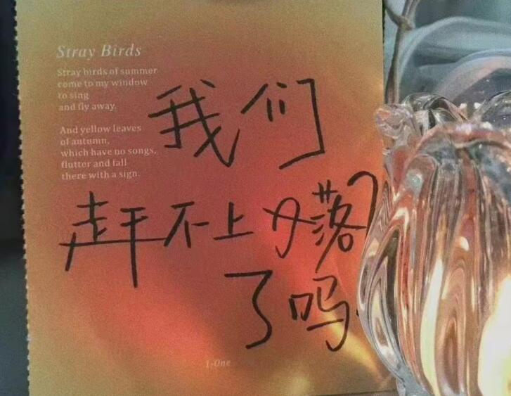 适合发朋友圈的图片