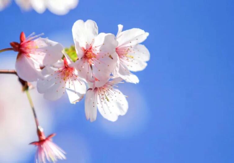 尊重的句子文案