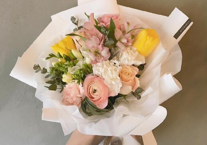 早安心语2024最新经典一句话