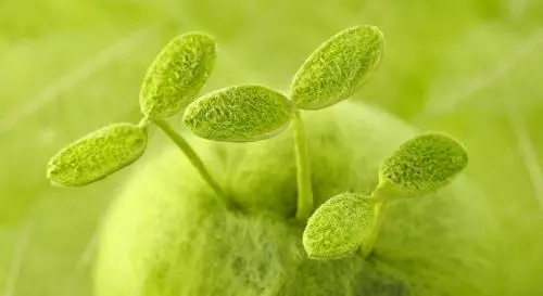 健康快乐成长的句子文案