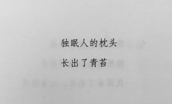 5～10字精美句子文案