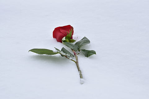 满眼都是我的人的句子文案