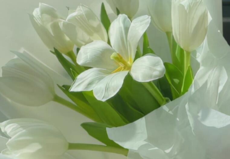 讽刺人不自知的句子文案