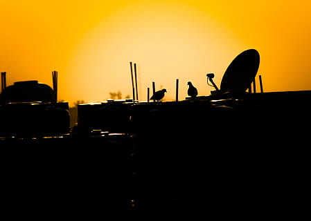 形容爱情长久的英文句子文案