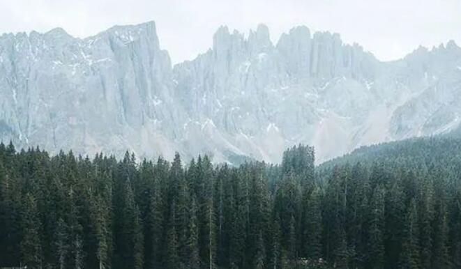 生活心灵鸡汤经典语录文案