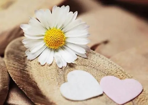 感谢遇到的每一个人的句子文案