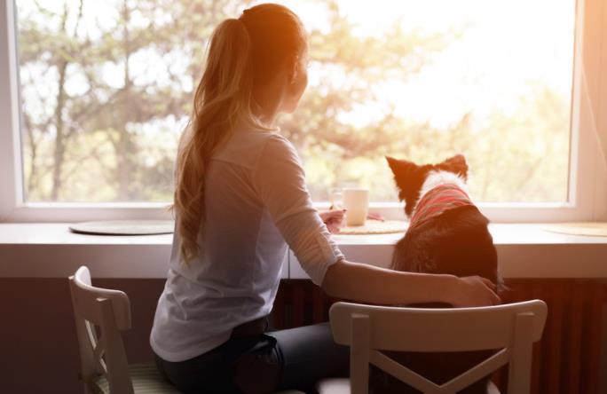 讽刺别人诋毁自己的话