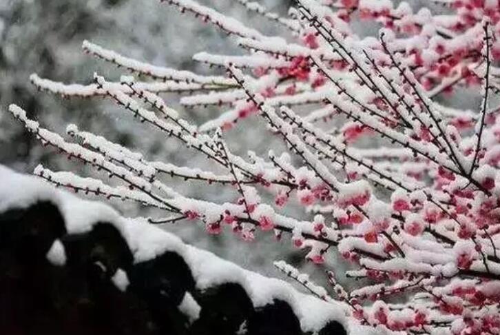 有关小雪诗句文案