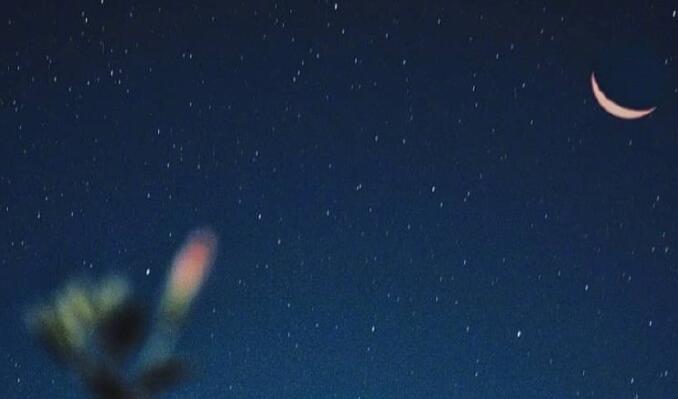 惊鸿唯美句子文案