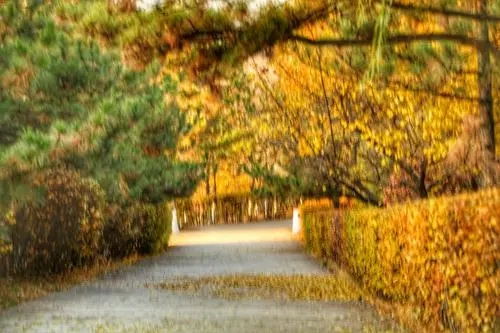 又逢深秋的经典句子文案