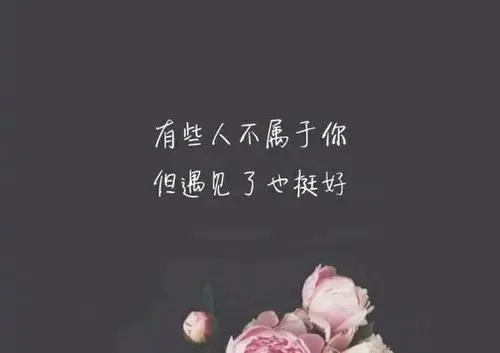 如果你足够坚强段中好词好句文案