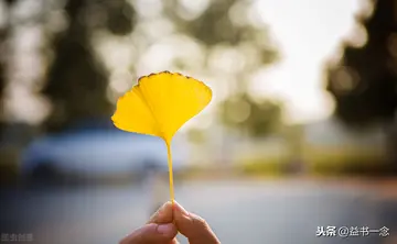 形容人干净纯粹的句子文案