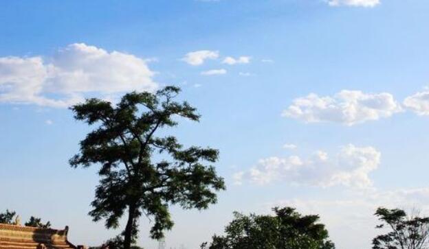 雨后天晴的经典句子文案