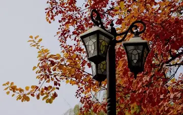 立秋绝美诗句文案