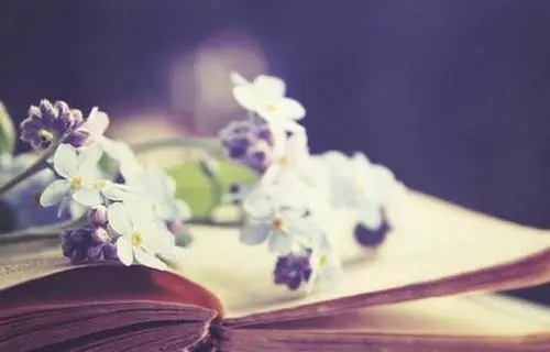 2024最优美的句子文案