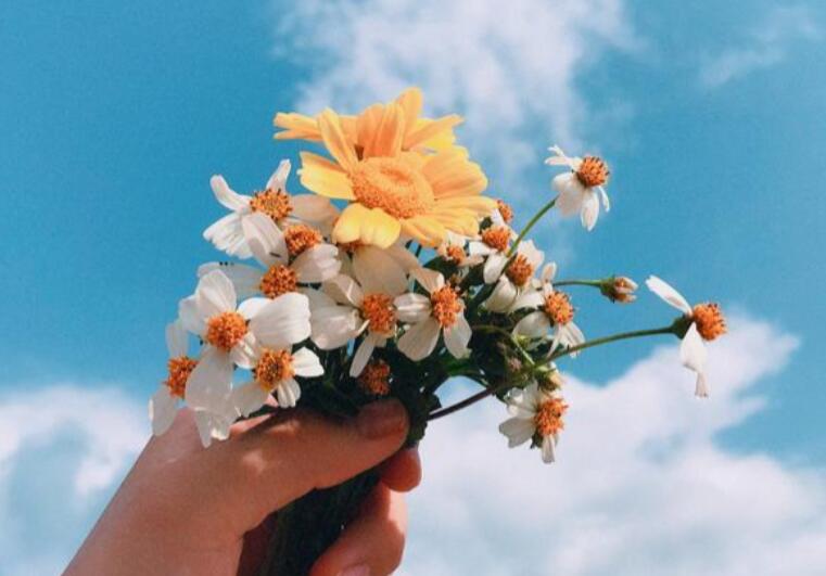 励志语录文案大全