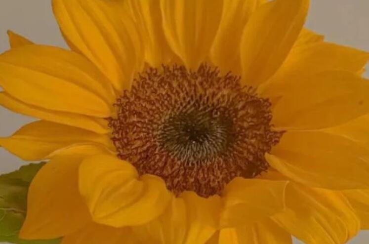 表达你值得的句子文案