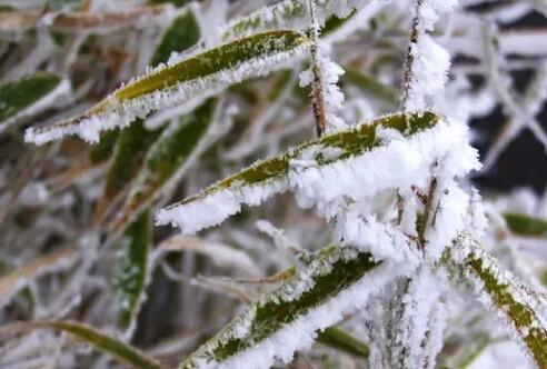 描写冬天的优美的短小的句子文案