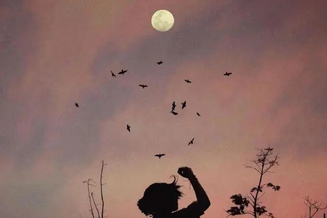 共同成长的名言