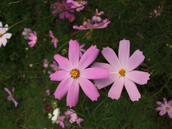 生活迷茫的励志的句子文案