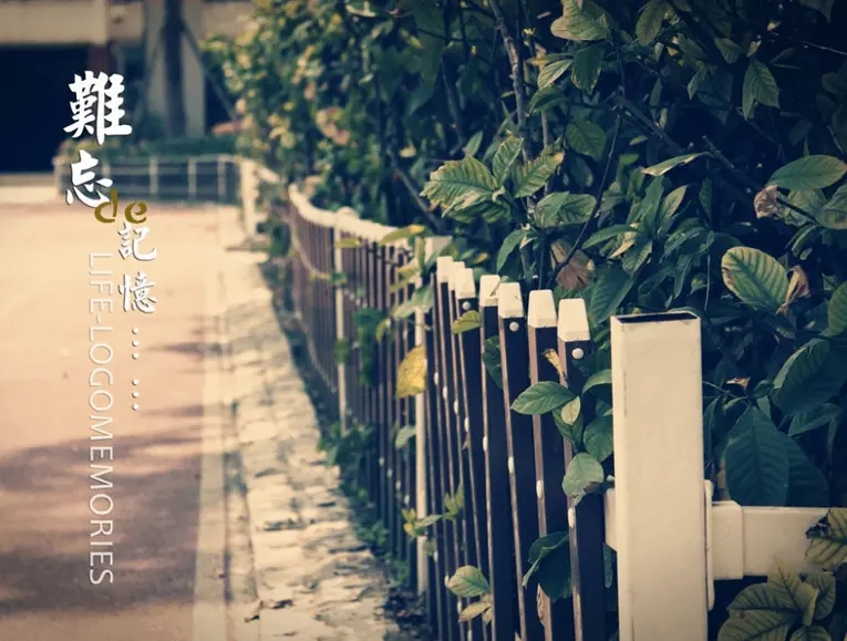 感慨初中三年时间流逝的句子文案