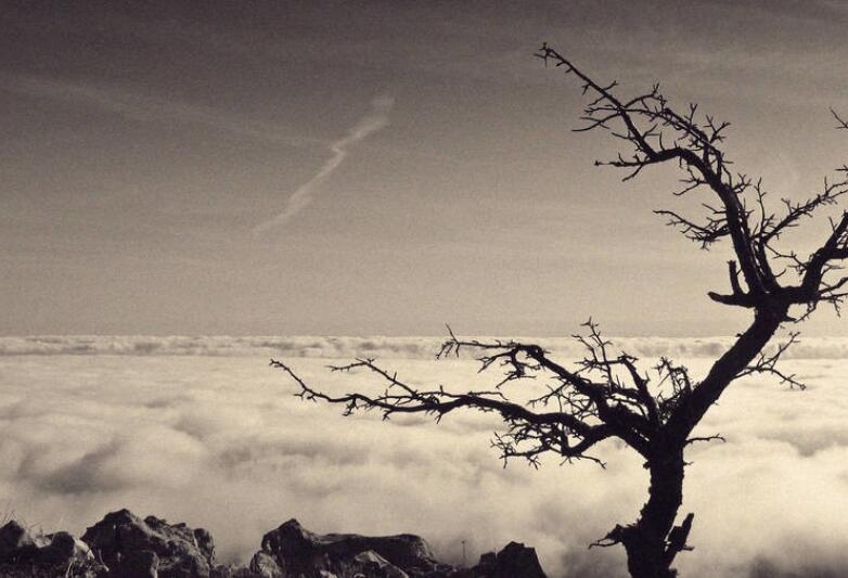 无奈的诗句文案古诗词