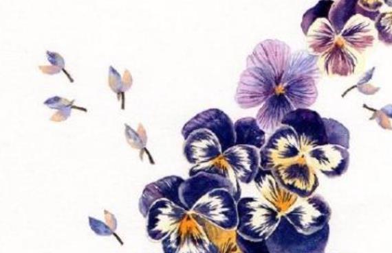 很有意义的英文文案短句