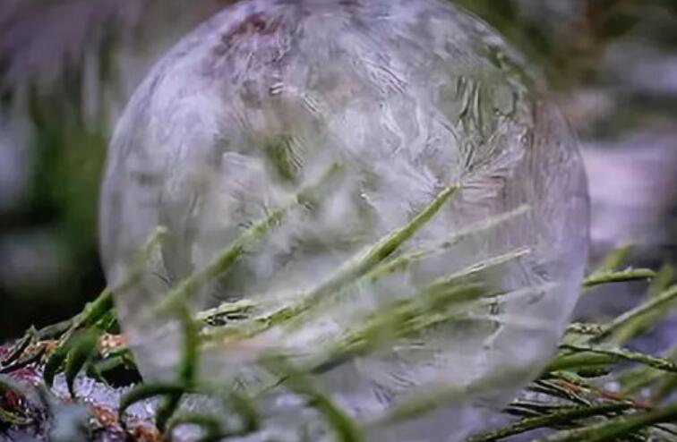 描写冬天的作文五句话