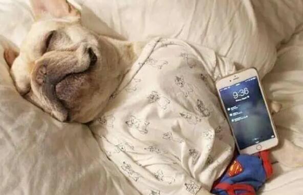 幽默减肥段子文案