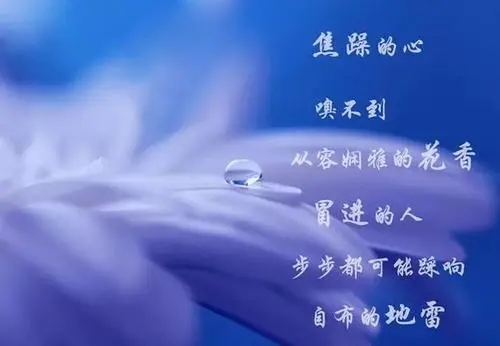 我终于学会了放手经典句子文案