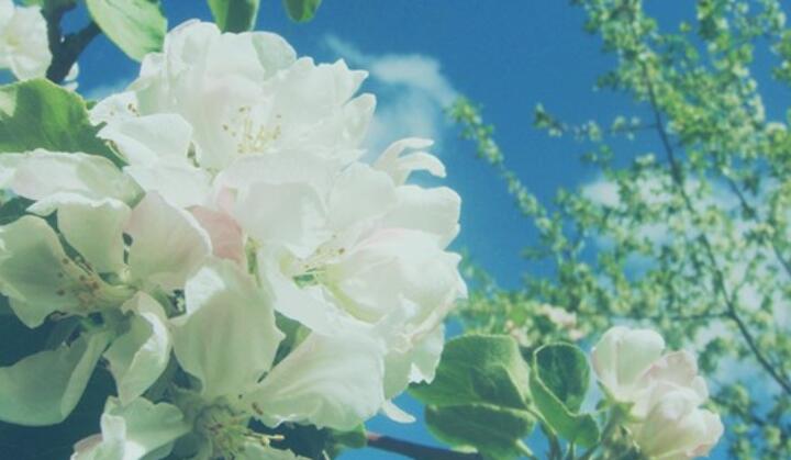 青少年自立自强的句子文案