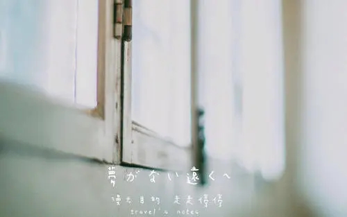 很美的句子文案意境