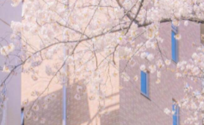 致美好的一天的句子文案