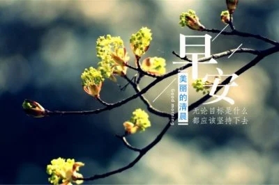 早安语录文案正能量