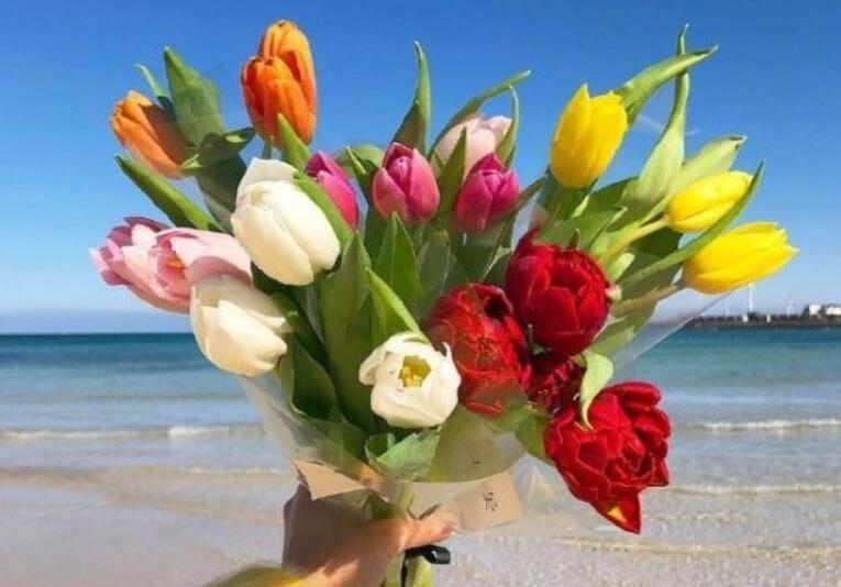 正能量经典短句