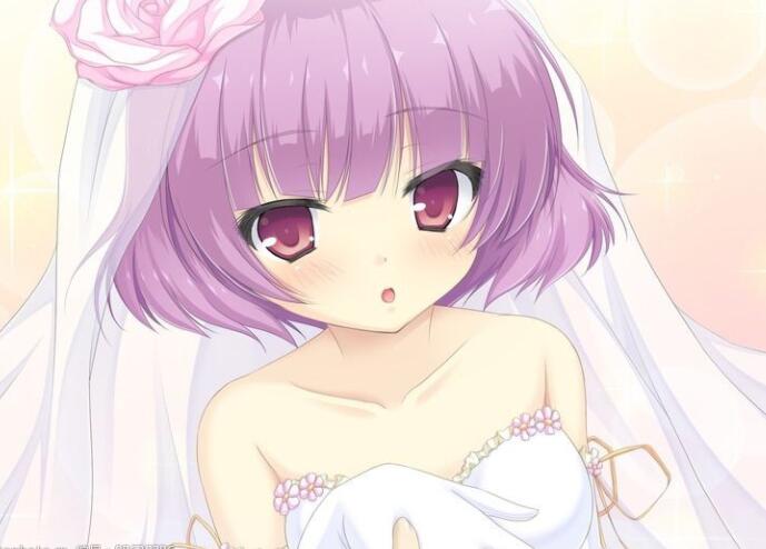 形容新娘红妆美的句子文案