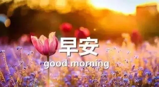 周六问候语温馨正能量