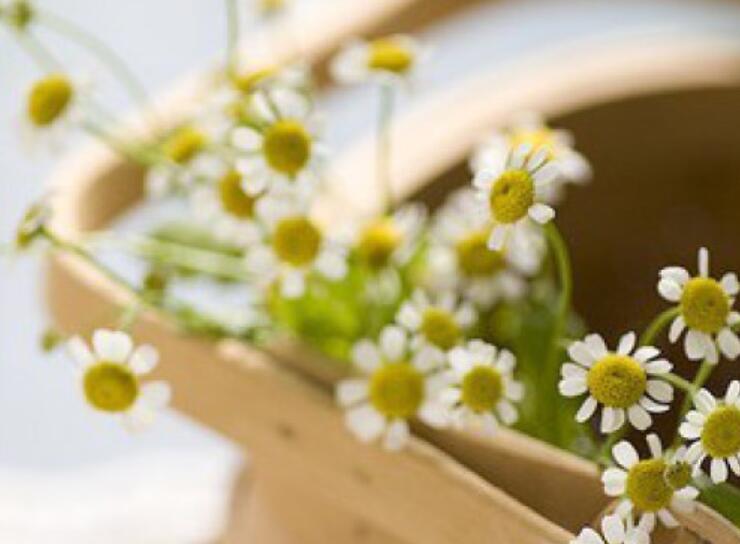 关于岁月优美片段摘抄