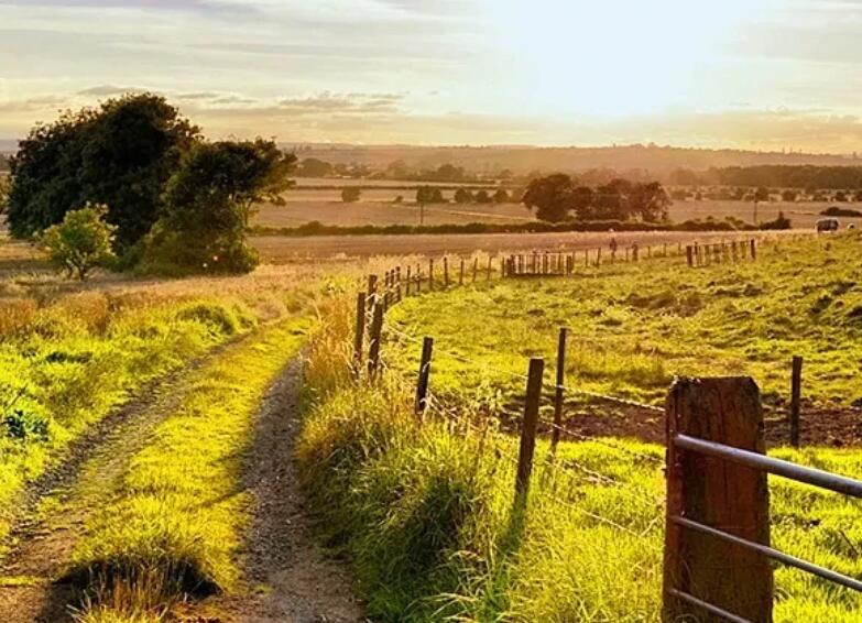 从此学会隐藏悲伤句子文案