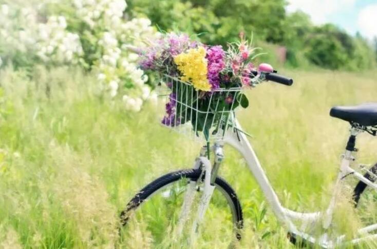 描写夏天景色的好词好句文案摘抄