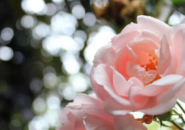 如何写出惊艳的句子文案