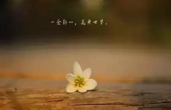 关于舍得的感悟一段话