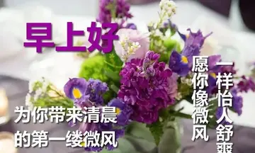 老年朋友之间早安简单祝福语