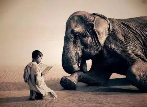 讽刺耍心机的人的句子文案